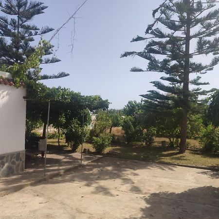 Encantadora Casa Rural Con Gran Porche San Roque  المظهر الخارجي الصورة
