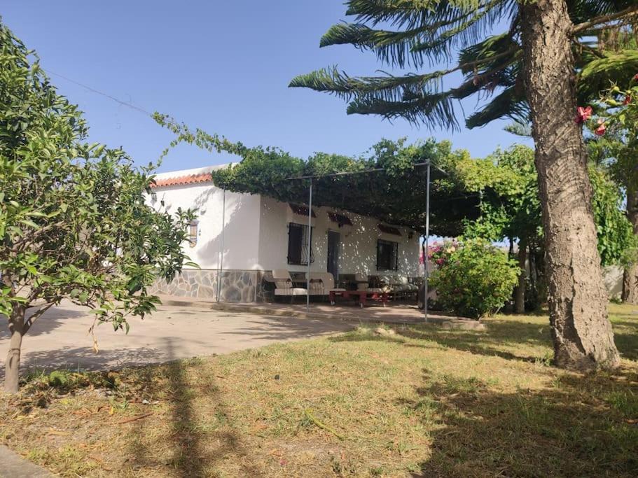 Encantadora Casa Rural Con Gran Porche San Roque  المظهر الخارجي الصورة